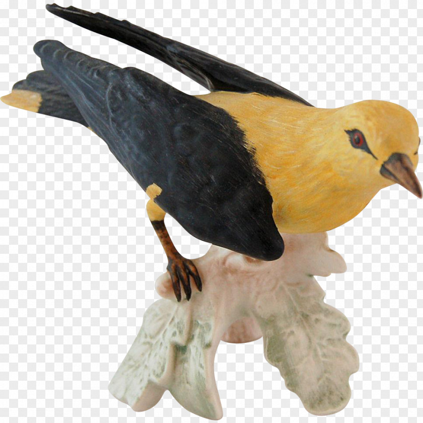 Bird Eurasian Golden Oriole Figurine Beak Old World Orioles PNG