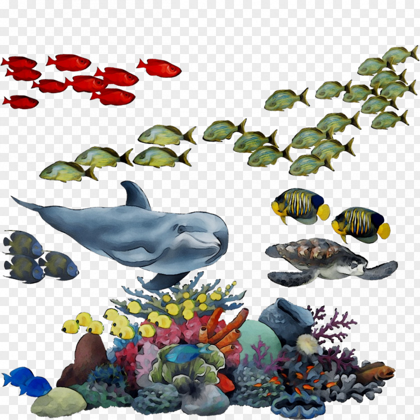 Fish Illustration Product Fauna Font PNG