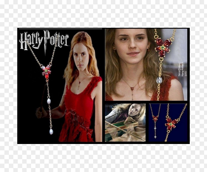 Harry Potter J. K. Rowling And The Deathly Hallows Hermione Granger Potter: Complete Collection (1-7) PNG