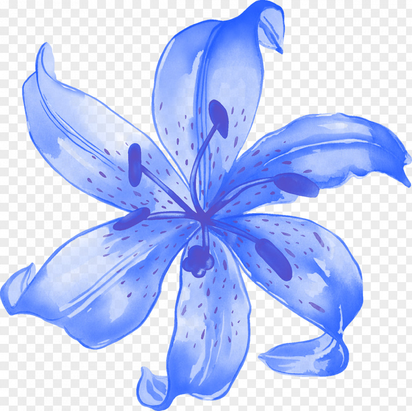 Lily Lilium Rendering Flower Blue PNG