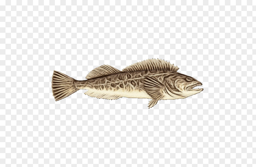 Northern Largemouth Bass Striper Fish PNG