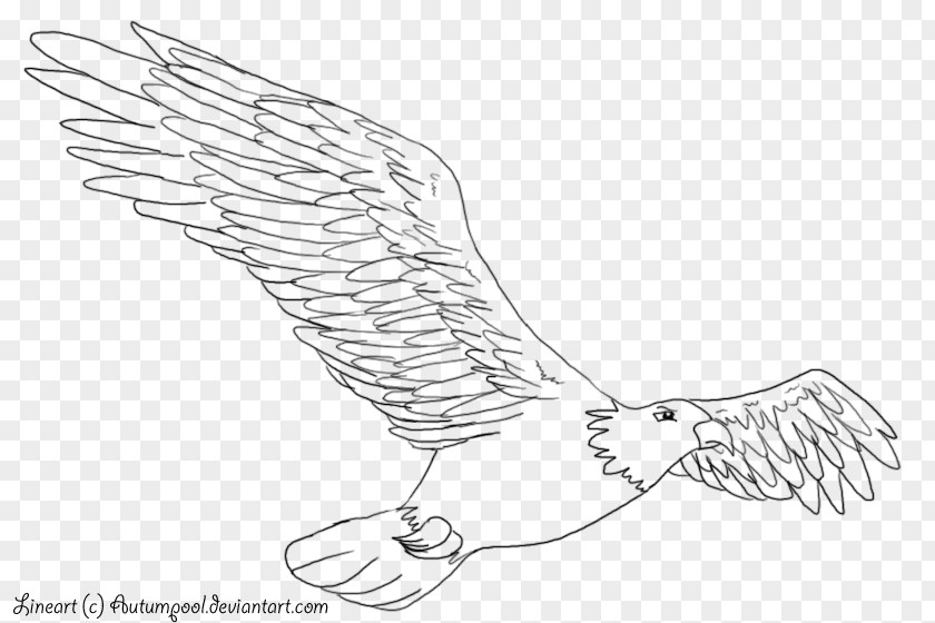 Akita Dog Line Art Drawing Birds Eagle PNG