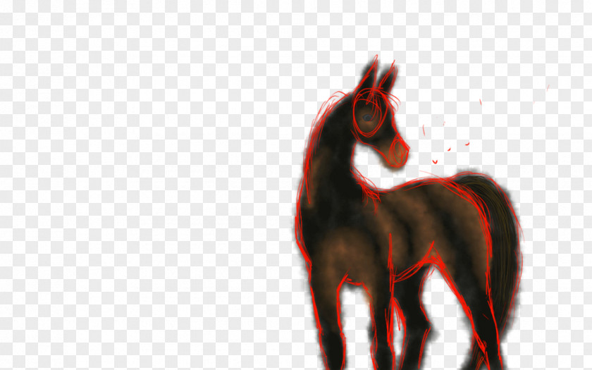 Color Sketch Mane Mustang Stallion Colt Halter PNG