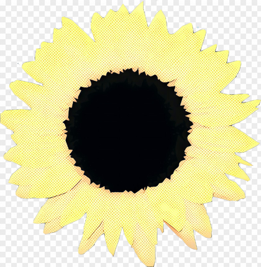 Daisy Family Sunflower Seed Vintage Flower PNG