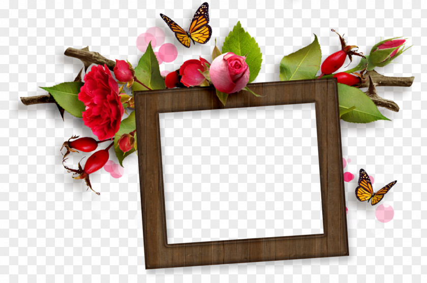 Flower Picture Frames Floral Design Garden Roses PNG