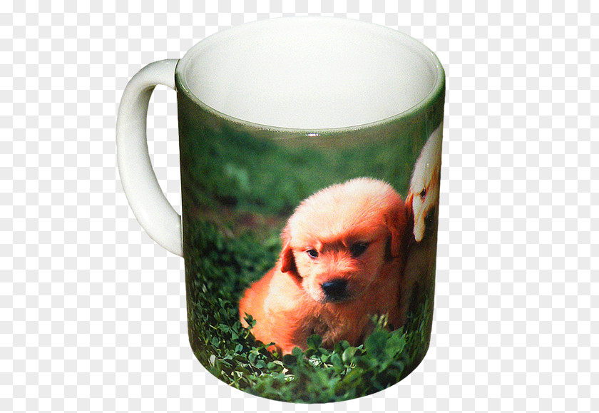 Mug Coffee Cup Snout Flowerpot PNG