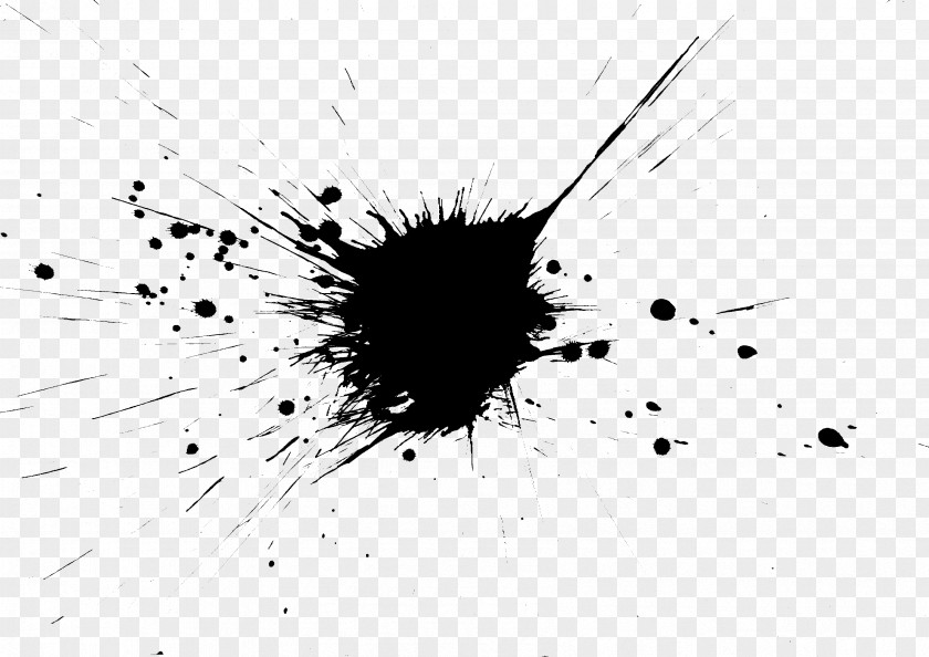 Paint Splatter Monochrome Graphic Design Photography PNG