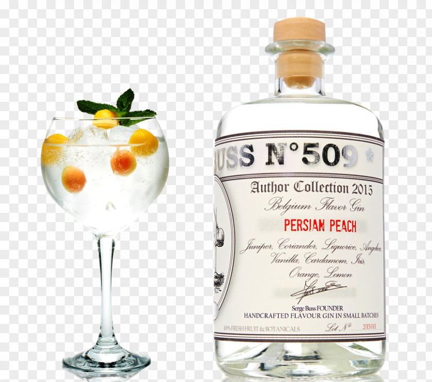 Peach Drink Liqueur Gin And Tonic Water Rectified Spirit PNG