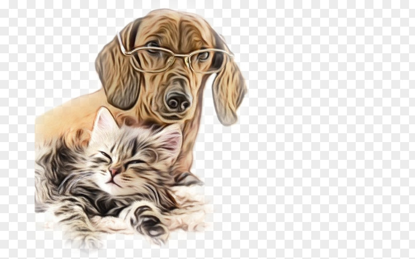 Tabby Cat Sporting Group Dog Breed Whiskers Companion PNG