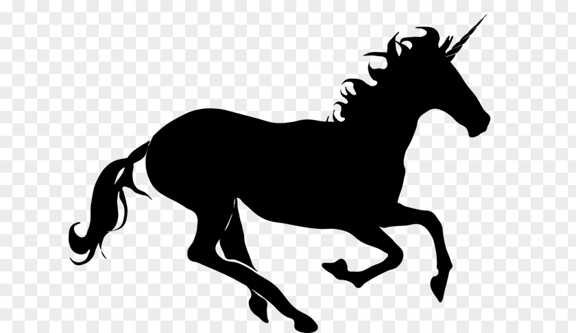 Tail Horse Supplies Unicorn Drawing PNG