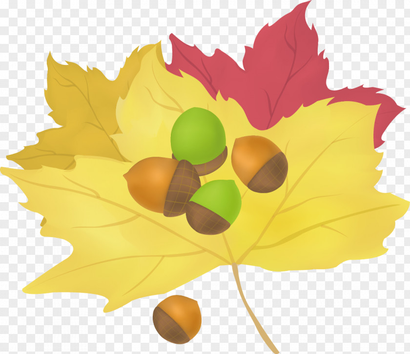 Autumn Life Icon Maple Leaf Cartoon PNG