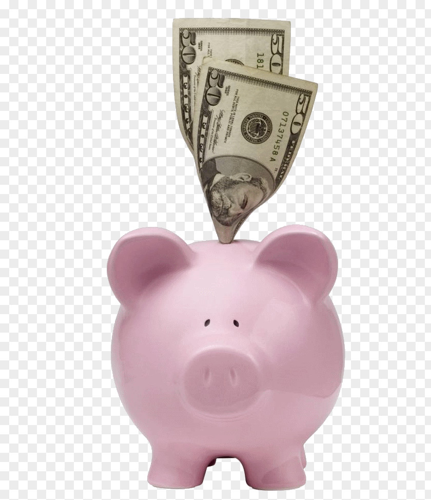 Bank Piggy Saving Money Investment PNG