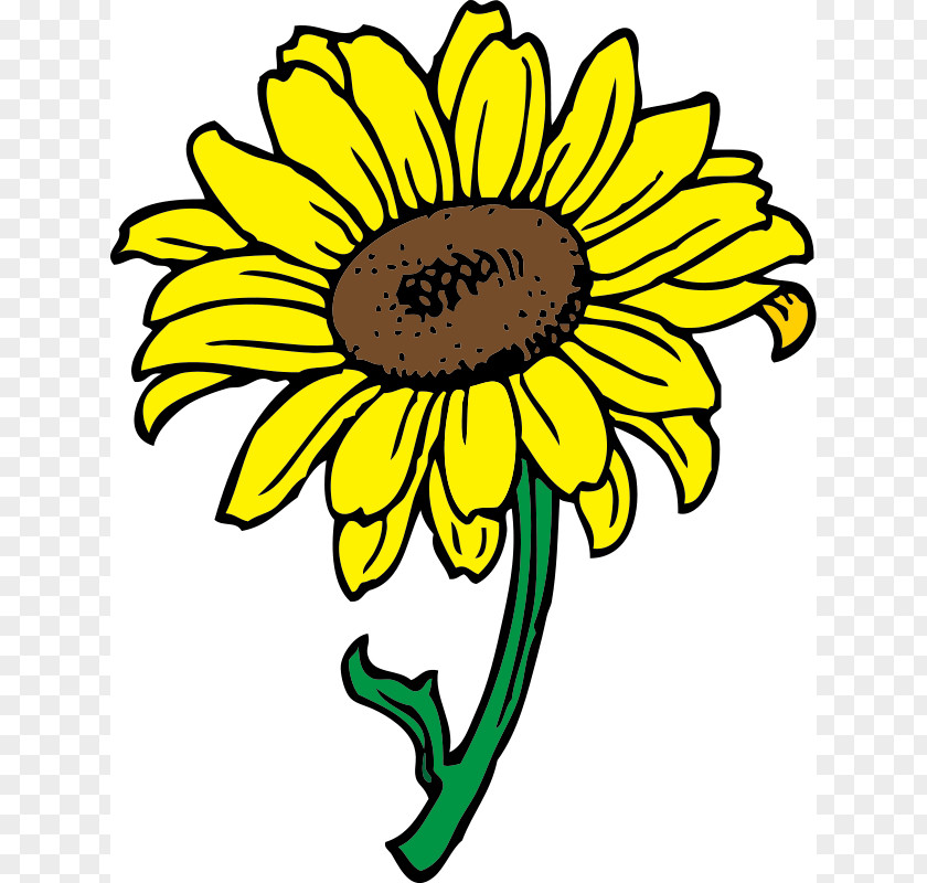 Ham Radio Clipart Common Sunflower Free Content Clip Art PNG