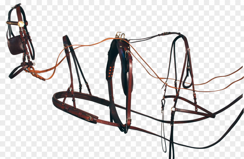 Horse Harness Bridle Rein Line PNG