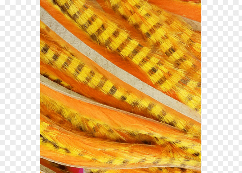 Squirrel Corn On The Cob Pine Close-up Maize PNG