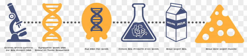 Genetically Modified Food Goat Milk Vegan Cheese Cheesemaking PNG