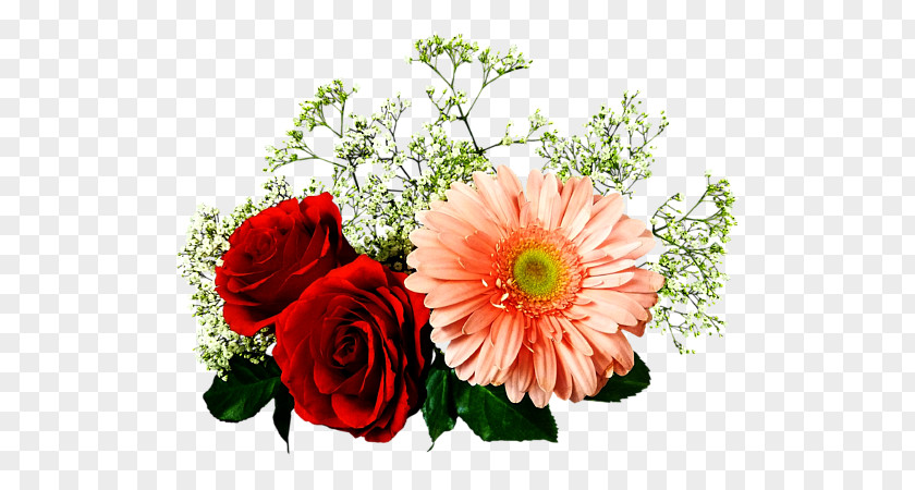 Gerber Daisy Garden Roses Floral Design Transvaal Cut Flowers PNG
