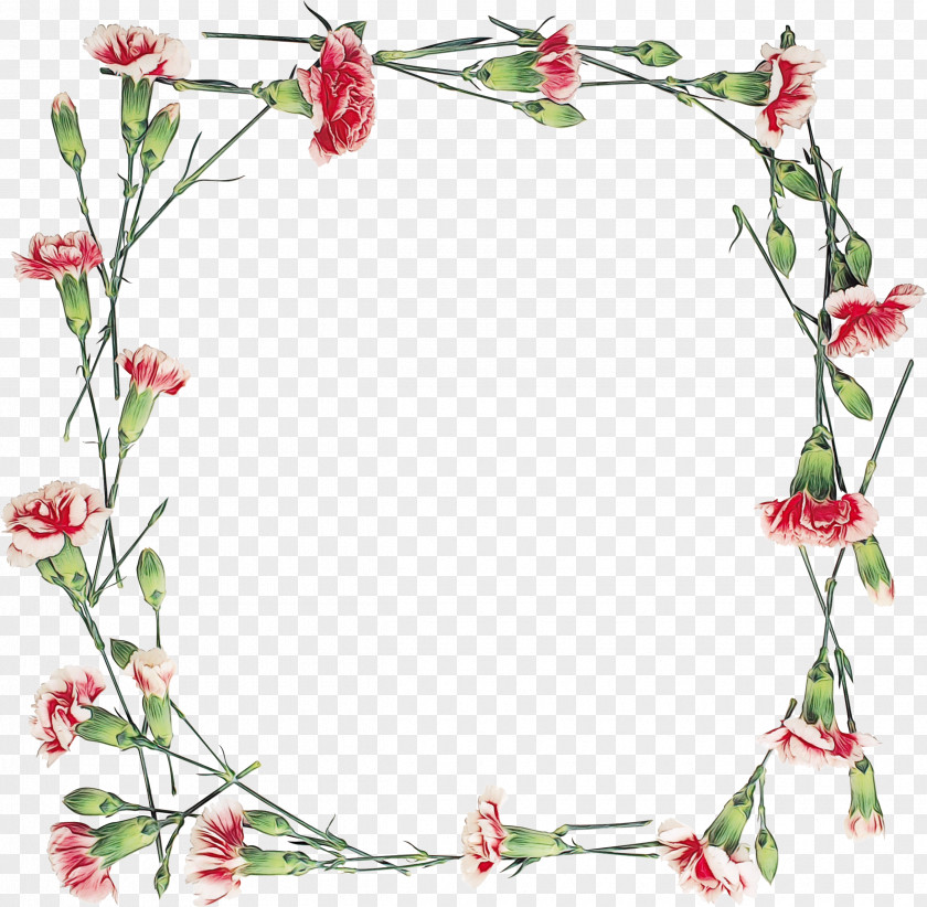 Picture Frame Plant Pink Background PNG