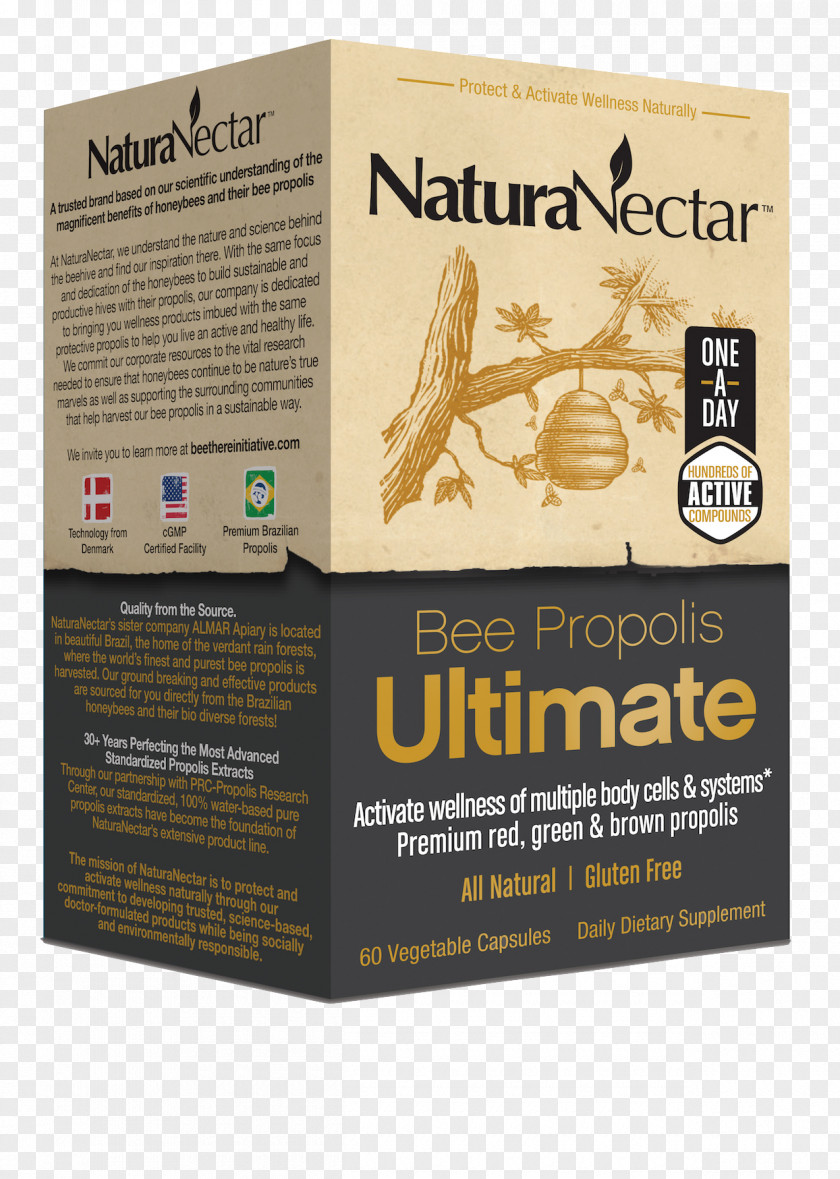 Propolis Bee Capsule Vegetable Vegetarian Cuisine PNG