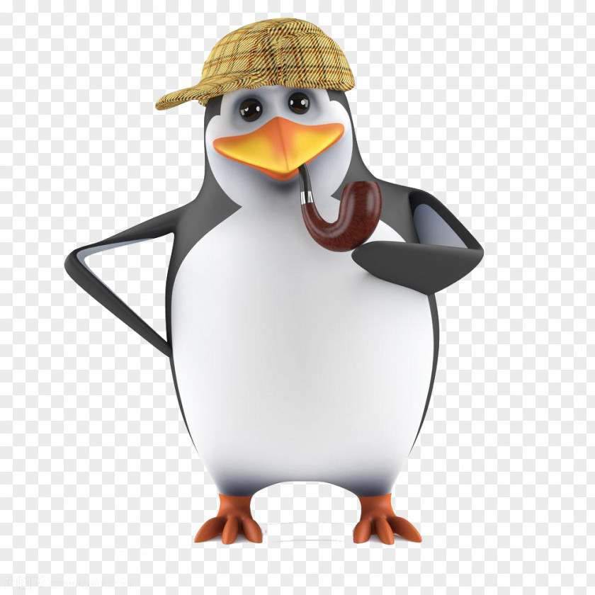 Smoking Penguins Penguin Stock Photography Illustration Royalty-free PNG