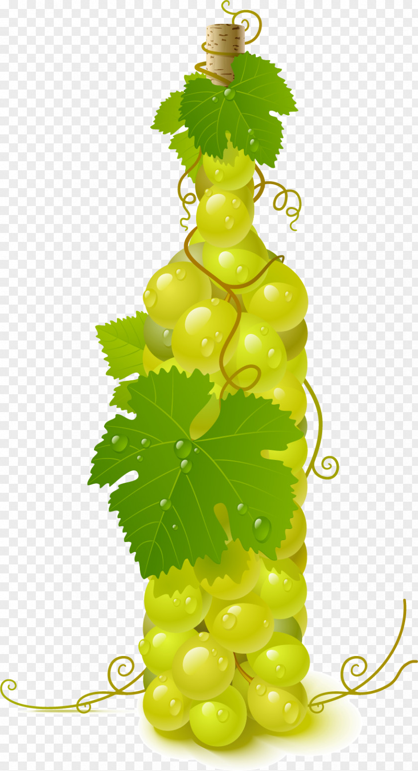 Wine Pattern Common Grape Vine Clip Art PNG