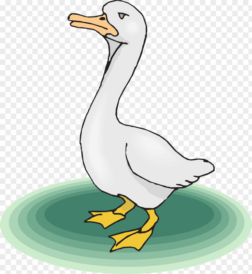 Ducks On The Grass Canada Goose Cartoon Clip Art PNG