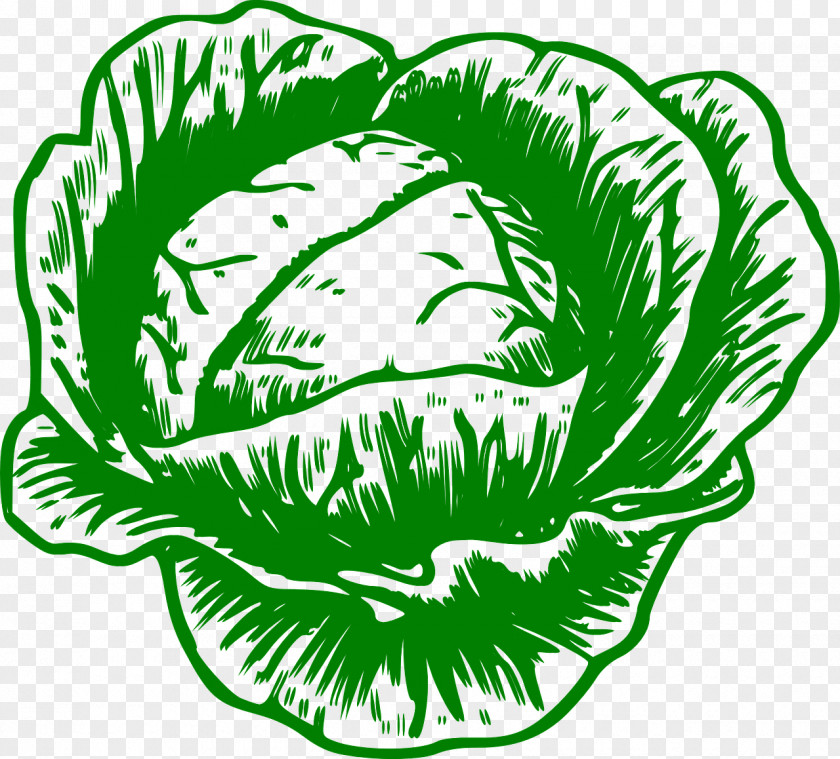 Hand-painted Chinese Cabbage Savoy Cauliflower Brussels Sprout Red PNG