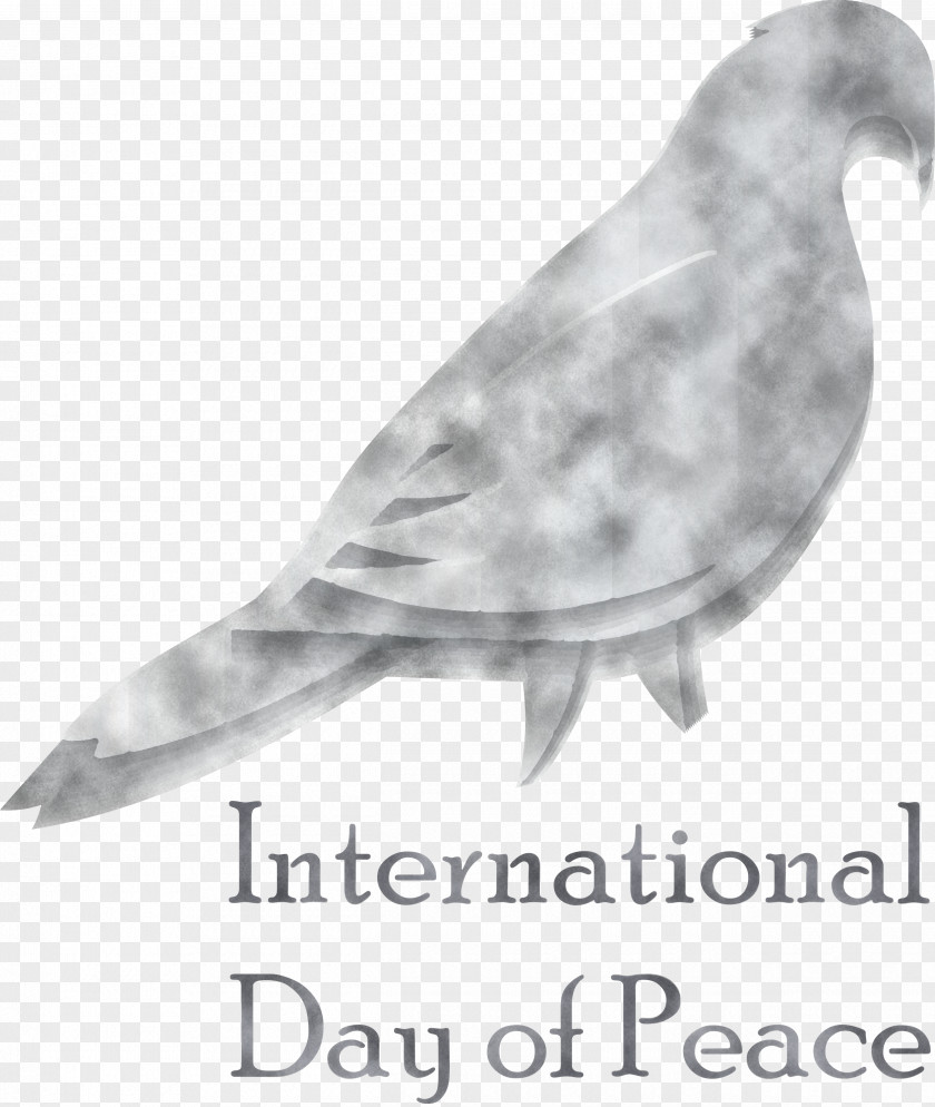 International Day Of Peace World PNG