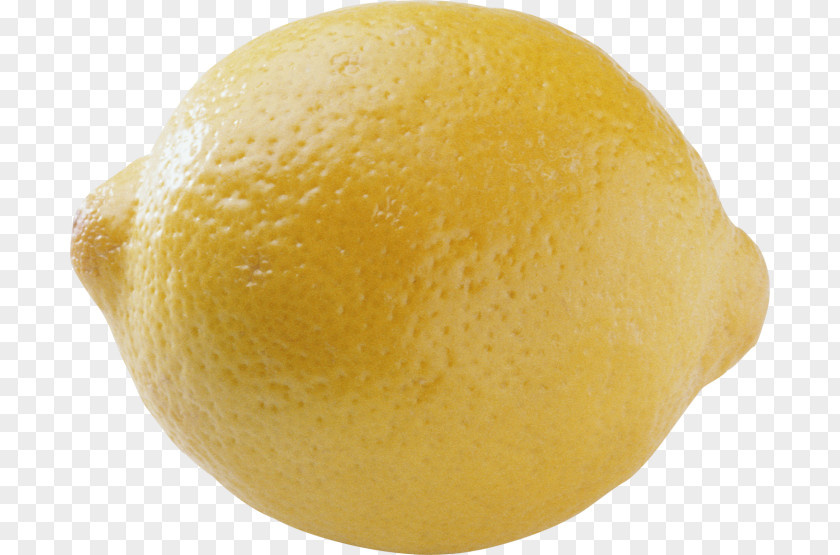 Lemon Citron Citric Acid Citrus PNG