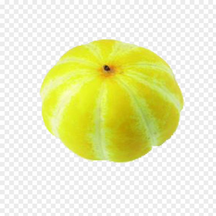 Muskmelon Korean Melon Citron PNG