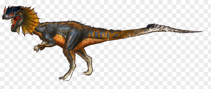 Phoenix Dilophosaurus ARK: Survival Evolved Stegosaurus Giganotosaurus Utahraptor PNG