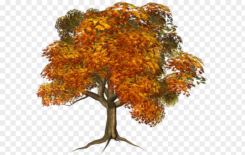 Fall Tree House Autumn Maple Clip Art PNG