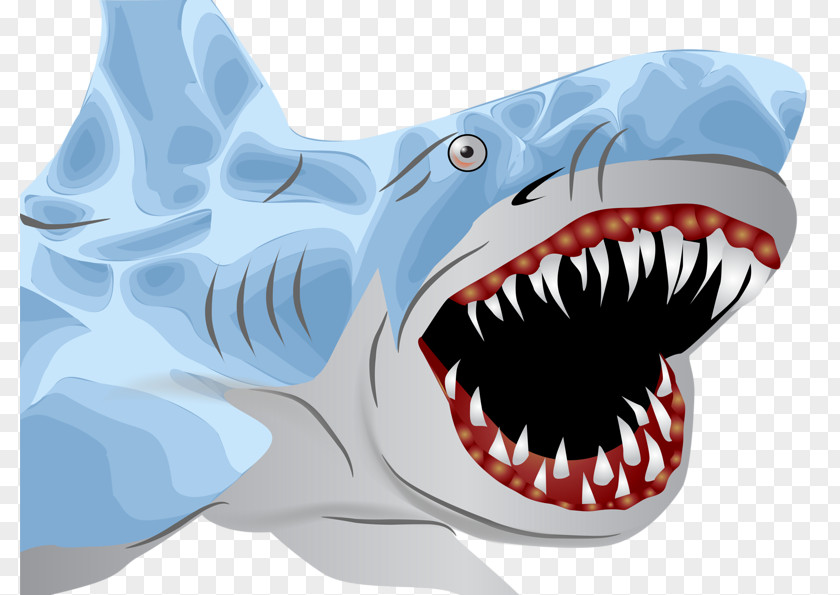 Vicious Shark Great White Hammerhead Clip Art PNG