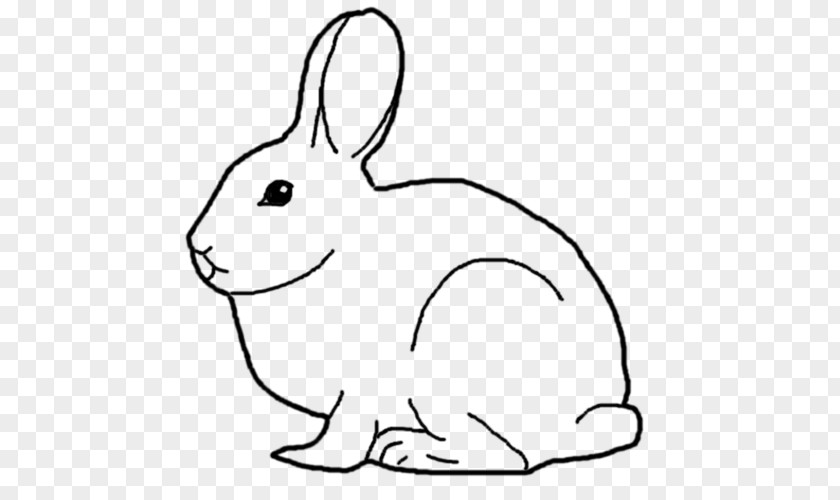 ABCD Domestic Rabbit Hare Whiskers Clip Art PNG