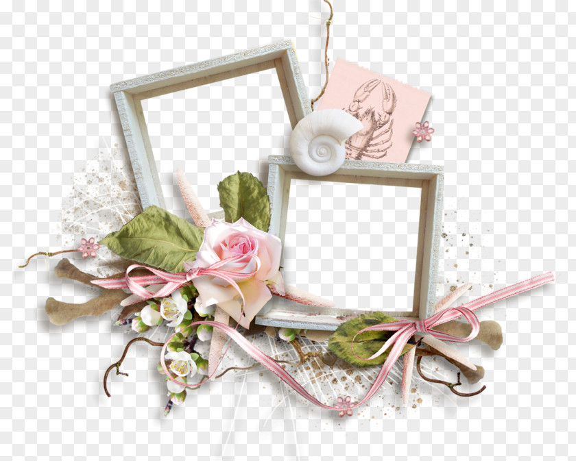 Birthday Card Design Picture Frames Digital Photo Frame Clip Art PNG