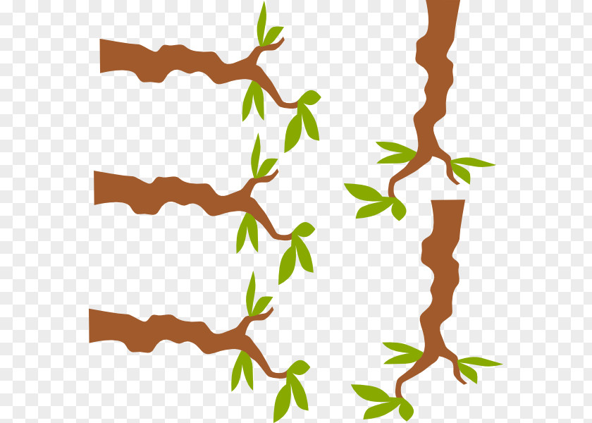 Branch Vector Tree Clip Art PNG