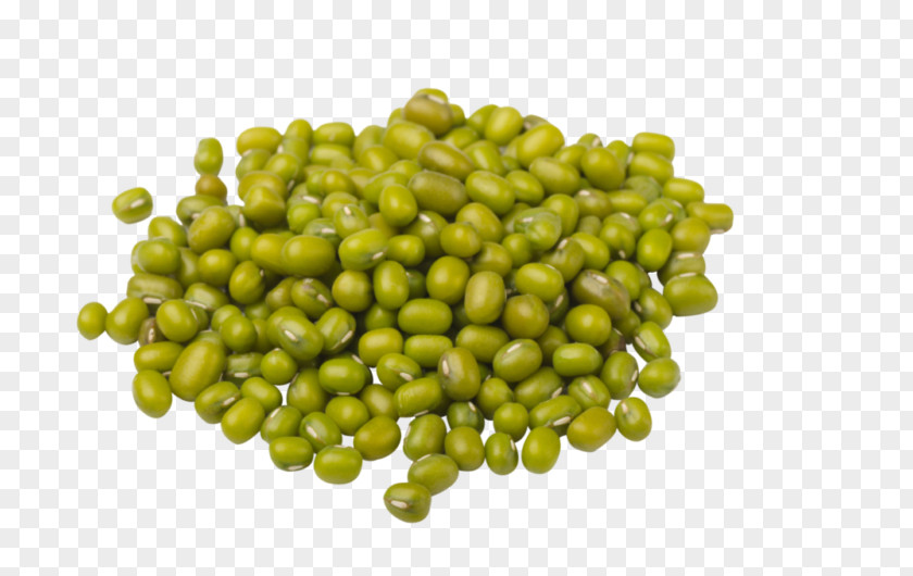 CASHEW Dal Mung Bean Wild Legume PNG