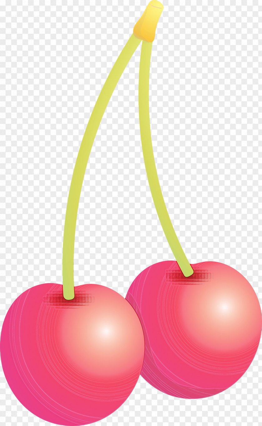Cherry Pink Plant Fruit Drupe PNG