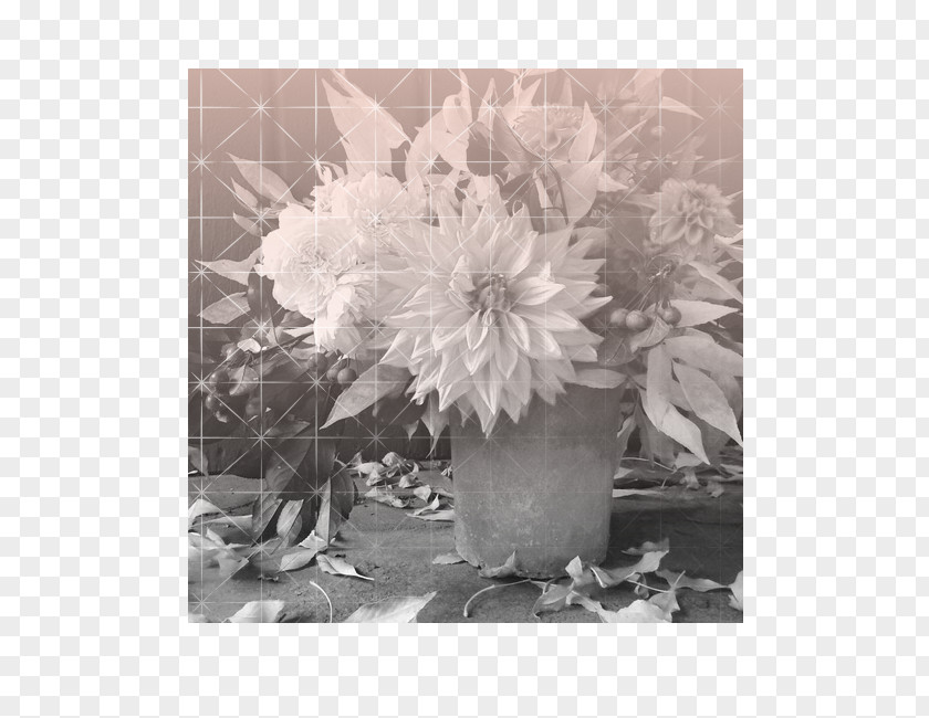 Flower Floral Design Bouquet Monochrome PNG