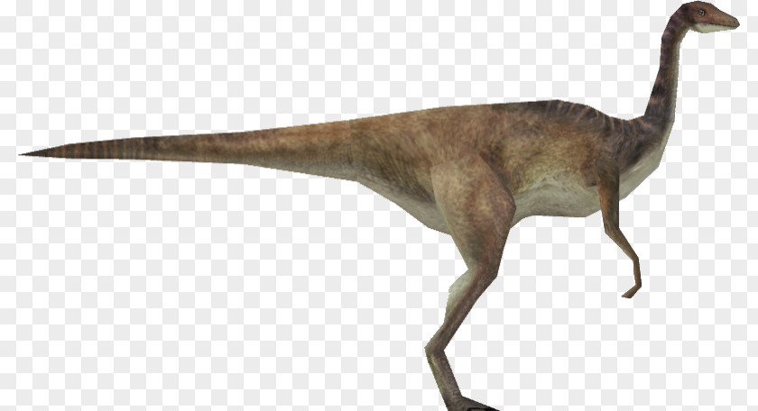 Gallimimus Size Velociraptor Jurassic Park: Operation Genesis Edmontosaurus Brachiosaurus PNG