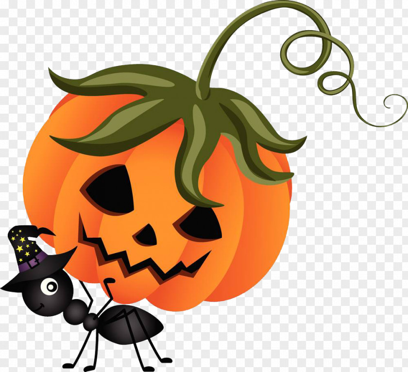 Kabocha Jack-o'-lantern Pumpkin Vector Graphics Halloween PNG