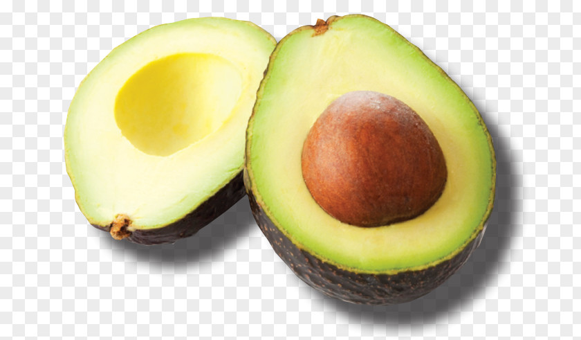 Avocado Oil Food Keyword Tool Nutrient PNG
