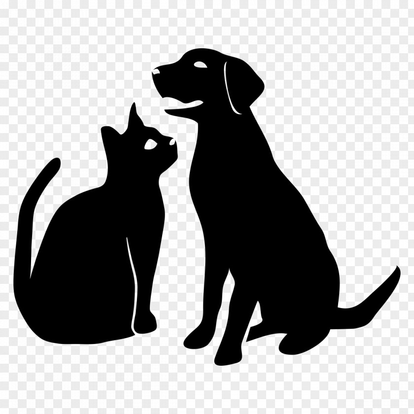 Dog Pet Cat Veterinarian Animal PNG