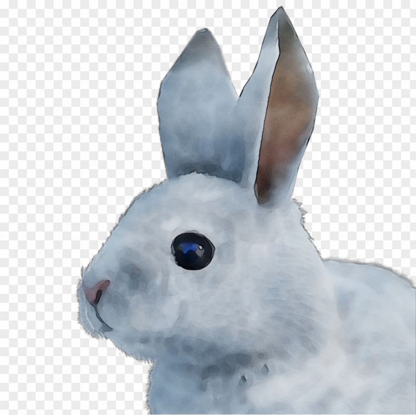 Domestic Rabbit Hare Easter Bunny Fur PNG