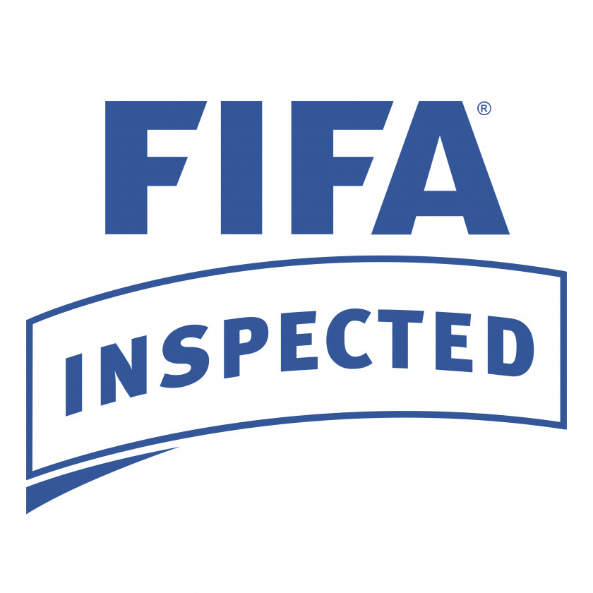 Fifa 2010 FIFA World Cup Beach Soccer Football Logo PNG