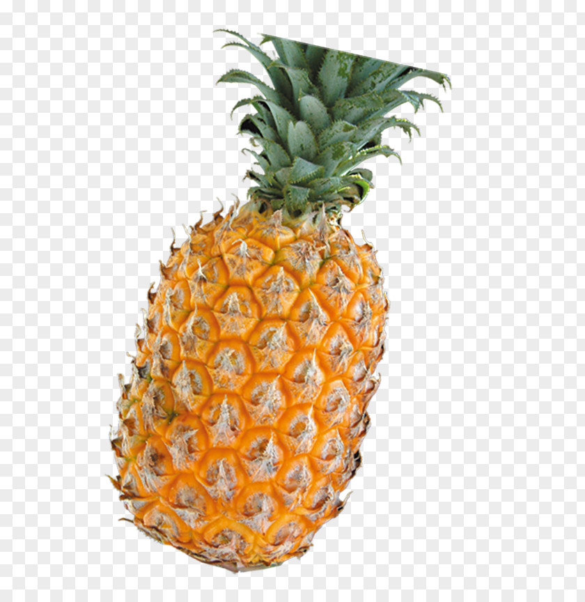 Fruit Pineapple Food Euclidean Vector PNG