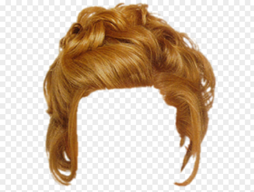 Hair Wig Hairstyle Layered PNG