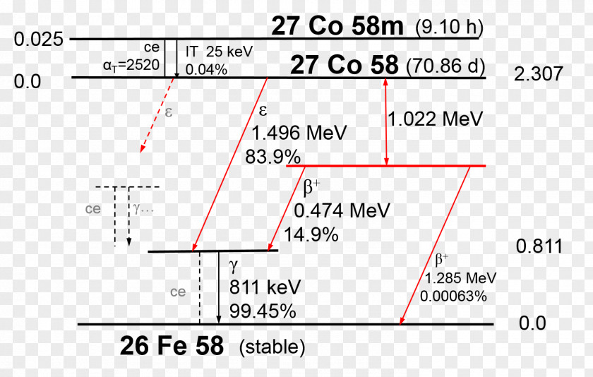 Proton Document Line Angle Brand PNG