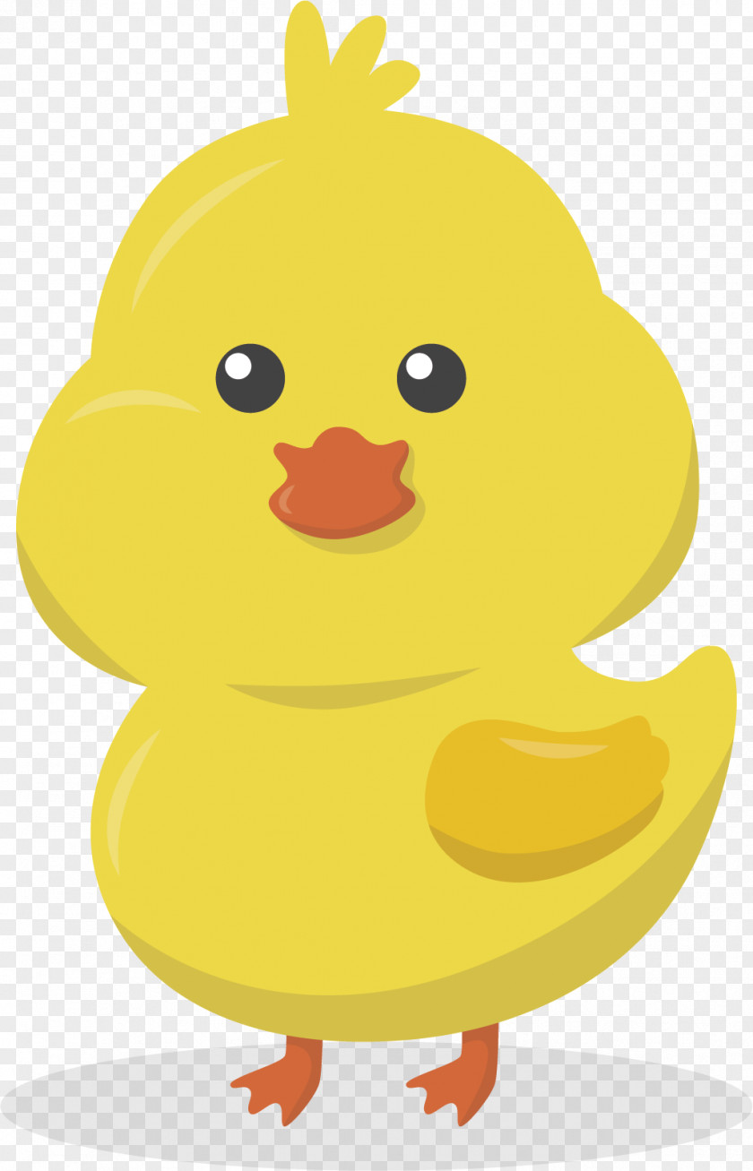 Yellow Chicken Vector Yellow-hair Duck Kifaranga PNG