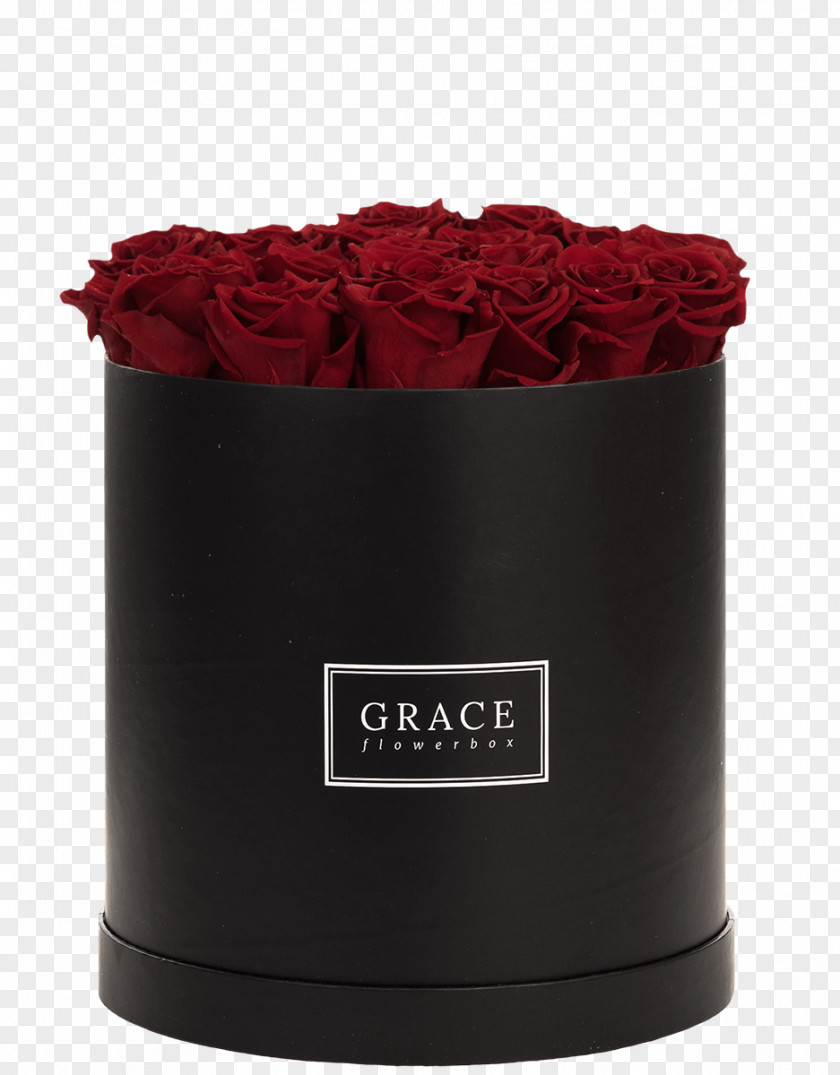 Black Red Flower Box Little Dress Flowerpot Rose PNG